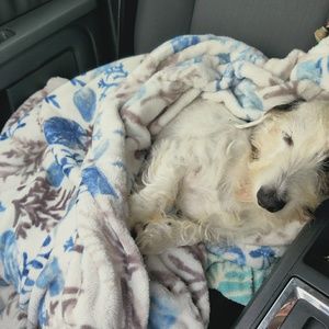 Meet your Posher, Tasha